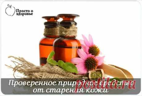 Проверенное природное средство от старения кожи
