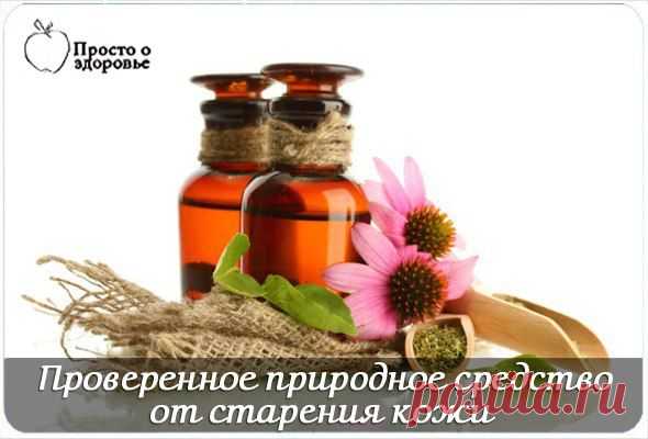 Проверенное природное средство от старения кожи