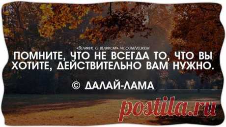 (185) Pinterest