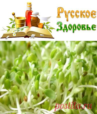 Лучшие рецепты для очищения крови и улучшения ее показателей