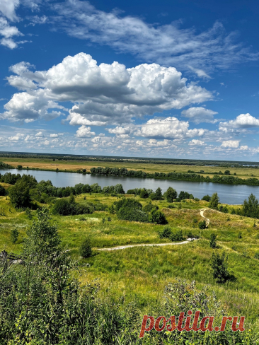 Рязанская область