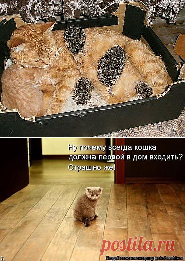 Одноклассники