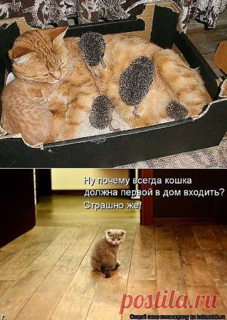 Одноклассники