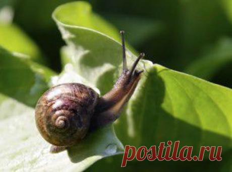 С праздником мира, весны и труда! | Как научиться жить без проблем?