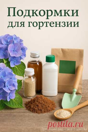 Гортензия пышнее, чем у соседей: 3 необычные подкормки! Кефир, уксус и... | Интересный контент в группе Цветущий сад