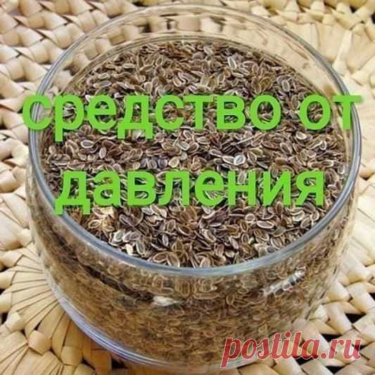 Чтобы забыть о давлении нужно взять горсть семян укропа. 

Высокое давление придет в норму, исчезнут запоры, боли в желудке и мочевом пузыре, пройдет недержание мочи и кала, если в заварочный чайник насыпать столовую ложку с горкой семян укропа и залить их пол-литрами кипятка. Накрыть чайничек салфеткой или укутать полотенцем на 40 минут, чтобы семена хорошо запарились и отдали все ценные вещества в воду. 

Полученное лекарство нужно пить прямо из носика чайника по 3 глотк...