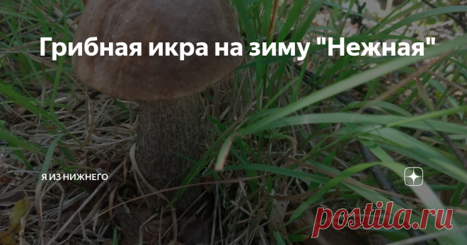 Грибная икра на зиму 