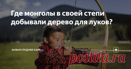 Где монголы в своей степи добывали дерево для луков? Главное правило войны в степи – наносить удар с расстояния, недоступного противнику, а потому луки восточных народов, вроде гуннов, монголов и турок, представляли из себя настоящее произведение оружейного искусства и очень ценились. Из-за довольно долгого процесса изготовления, потерять их было настоящей проблемой.
К примеру, когда в морской битве при Лепанто 1571-о года из-за поражения Османской