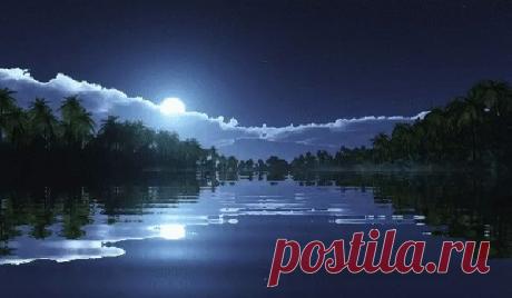 Самая нужная наука — это наука забывать ненужное.