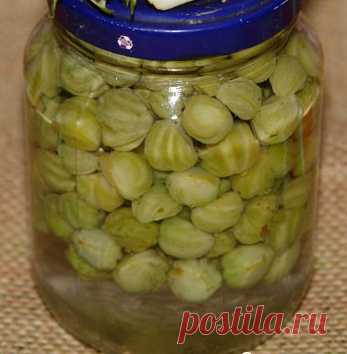 Ложные каперсы (из семян настурции)