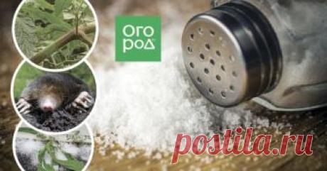 Поваренная соль на даче – необычные способы применения Поваренную соль можно использовать не только на кухне, но и в огороде. Средство это дешевое, доступное и достаточно эффективное. Главное, правильно приготовить препарат для каждого случая.