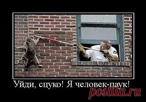 Но коммент