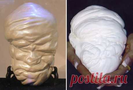 Интересные факты из путешествий.  И в конце хотелось бы отметить, что самая большая жемчужина в мире – это филиппинская «Жемчужина Аллаха» (или «Жемчужина Лао-Цзы»), которая даже занесена в Книгу рекордов Гиннеса. Она была найдена на филиппинском острове Палаван в 1934 году. Ее вес составляет 6,37 килограммов (или 32 000 карат), а диаметр – 238 миллиметров!