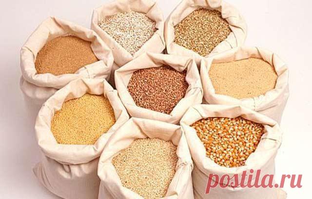 Рейтинг каш: теперь мы знаем все о них! Обязательно прочти!