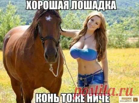 Деревня. Вечер. В избе - дед с бабкой. Дед - бабке...