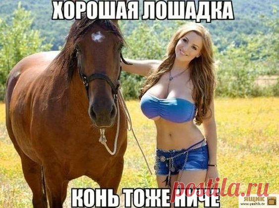 Деревня. Вечер. В избе - дед с бабкой. Дед - бабке...
