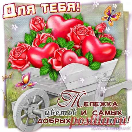Фотографии Открытки на стенку #topCards Хорошие открытки