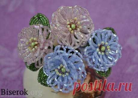 (36) Одноклассники