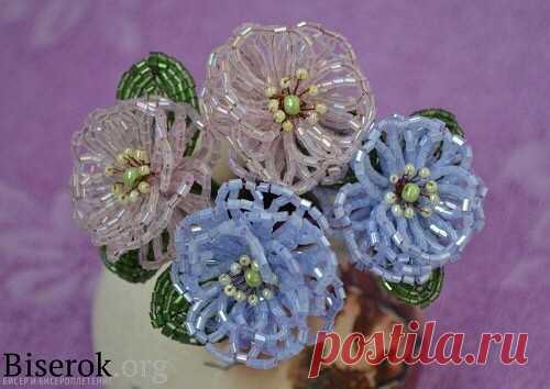 (36) Одноклассники