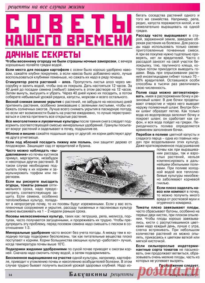Дачные секреты