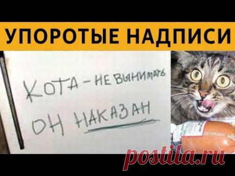 150 САМЫХ УПОРОТЫХ ОБЪЯВЛЕНИЙ - КОТА НЕ ВЫНИМАТЬ, ОН НАКАЗАН xDD
