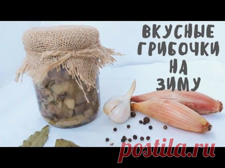 Очень вкусный рецепт маринованных маслят. Заготовка грибов на зиму. Мой опыт. - YouTube