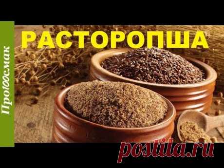 Расторопша. Польза и вред Расторопши. Как принимать расторопшу