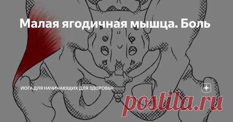 Малая ягодичная мышца. Боль Статья автора «Йога для начинающих для здоровья» в Дзене ✍: Малая ягодичная мышца располагается под средней ягодичной мышцей и функционирует совместно с ней, обеспечивая стабильность таза и отведение