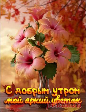 Открытка доброе осеннее утро с цветами
