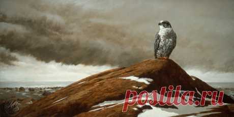 Artwork-by-Morten-E.-Solberg-12-1024x513.jpg (Изображение JPEG, 1024 × 513 пикселов)