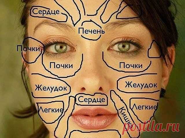 ЧТО ГОВОРИТ КИТАЙСКАЯ «КАРТА ЛИЦА» О ВАШЕМ ЗДОРОВЬЕ
	
Китайцы считают, что все части лица напрямую связаны с конкретными внутренними органами.

Кожа – самый большой по площади орган нашего организма. На нем могут проявляться многочисленные внутренние проблемы со здоровьем. Если точнее, проблемы с прыщами на коже могут свидетельствовать о наличии более глубоких проблем со здоровьем.

Китайцы считают, что каждая часть лица связана с определенным внутренним органом, поэтому н...