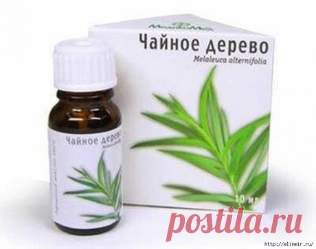 ВОЛШЕБНОЕ МАСЛО ЧАЙНОГО ДЕРЕВА