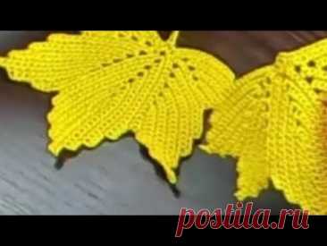 آموزش بافت برگ