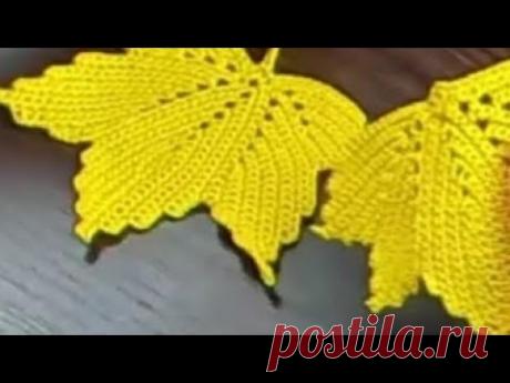 آموزش بافت برگ