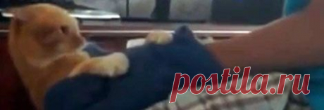 Новости по тэгу 'мститель' - Первый по срочным новостям — LIFE | NEWS