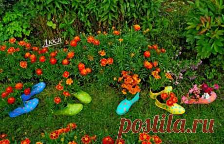 (45) Одноклассники