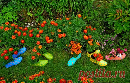 (45) Одноклассники