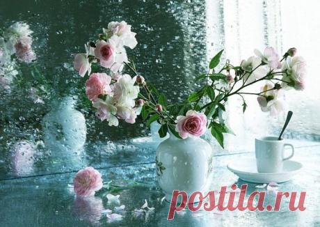 Натюрморт с белым кувшином