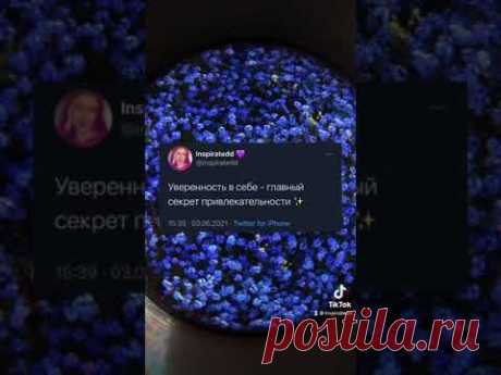 Цитата про уверенность ✨ - YouTube