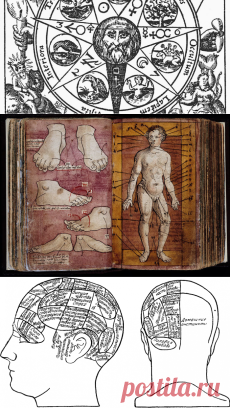 15 странных научных теорий, которые могут оказаться правдой