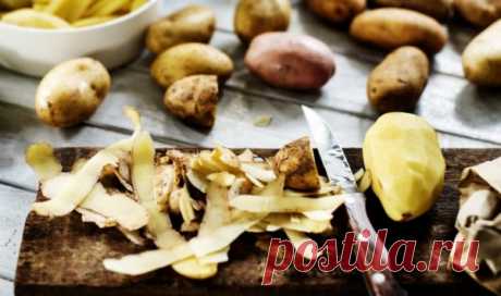 Удобрения из картофельных очисток: каким растениям полезны и когда, способы приготовления