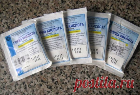 Опрыскивание перцев борной кислотой: как, когда и зачем