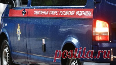 В ЯНАО завели дело по факту нападения собак на ребёнка. В Новом Уренгое (ЯНАО) Следственное управление СК России возбудило уголовное дело по факту нападения стаи собак на ребёнка. Читать далее