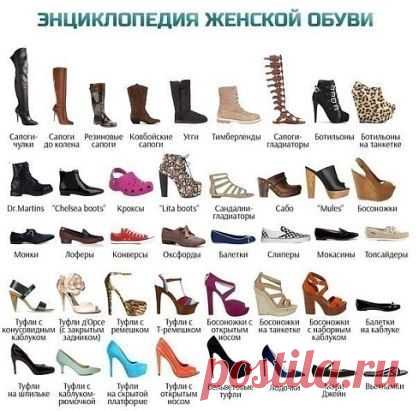 (81) OK.RU