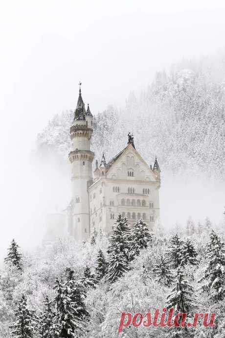 Фото – Google+