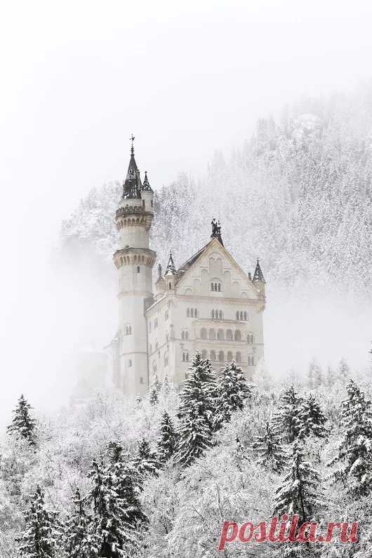 Фото – Google+