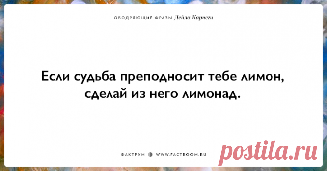 25 ободряющих фраз Дейла Карнеги, за которые ему огромное спасибо