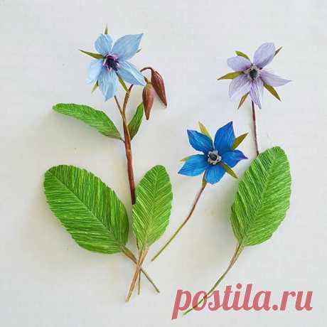 Bits of borage - because I love any excuse to do something in blue.