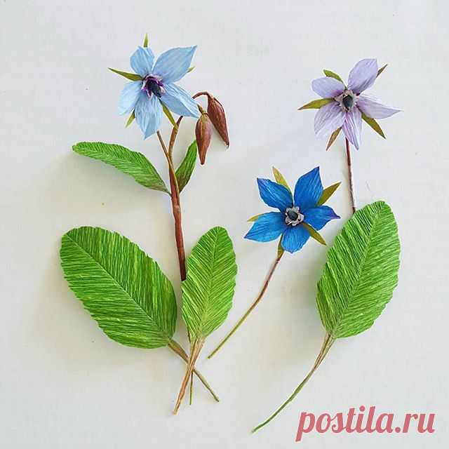 Bits of borage - because I love any excuse to do something in blue.