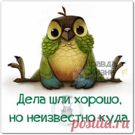 Фразы,Высказывания,Стихи,Цитаты,Видео...
Alena Stroganova
